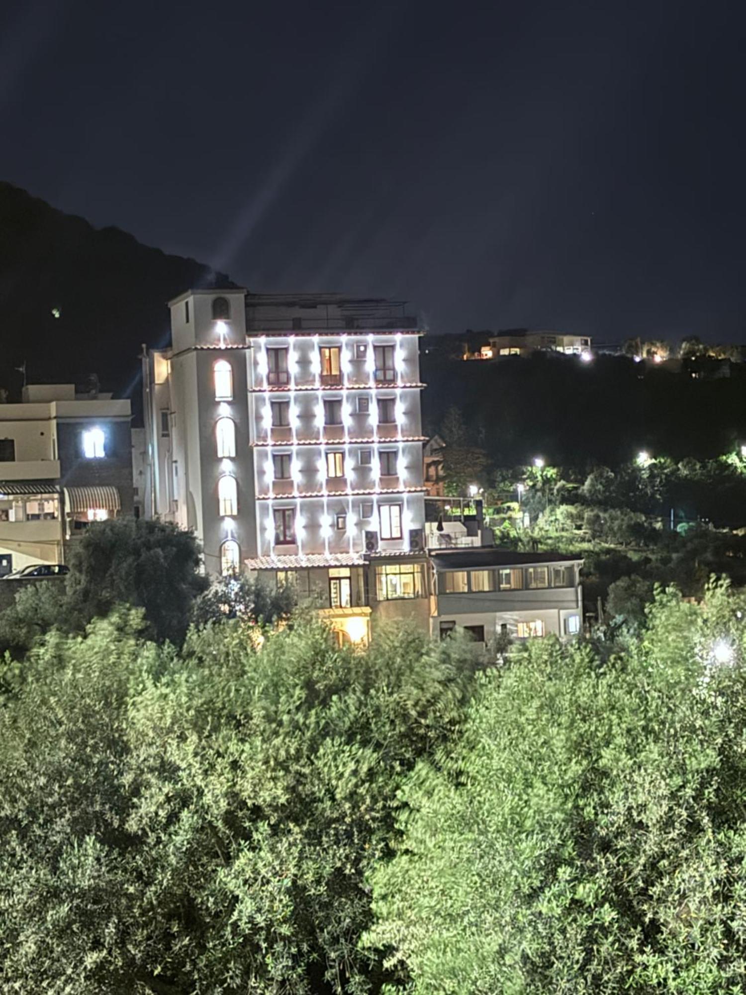 Dania Sorrento