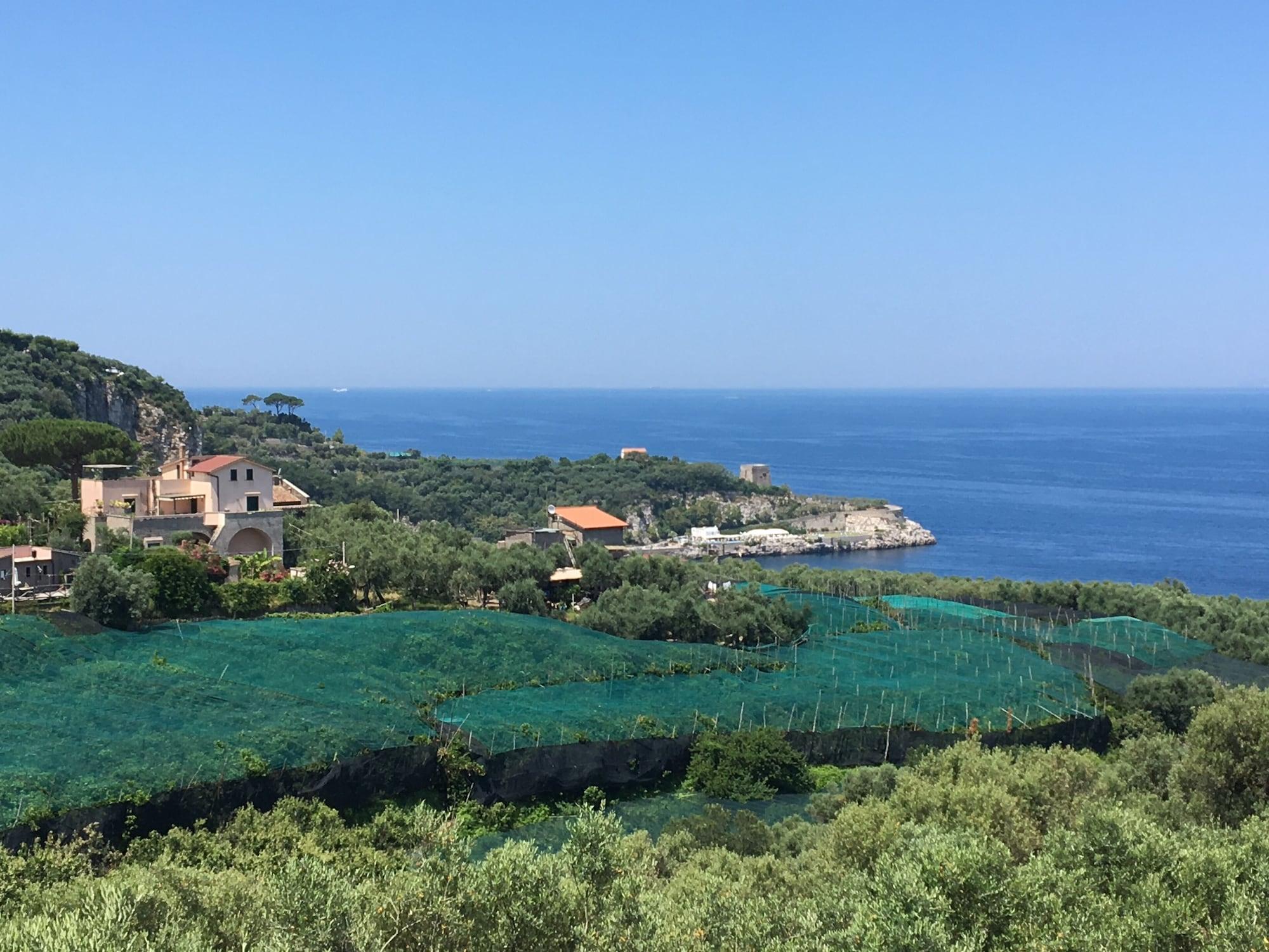Dania Hotel Península Sorrentina